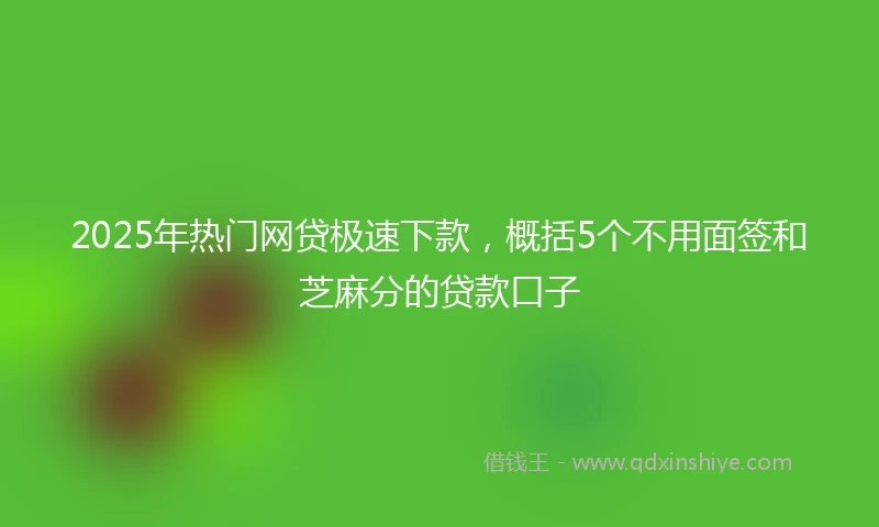 2025年热门网贷极速下款，概括5个不用面签和芝麻分的贷款口子