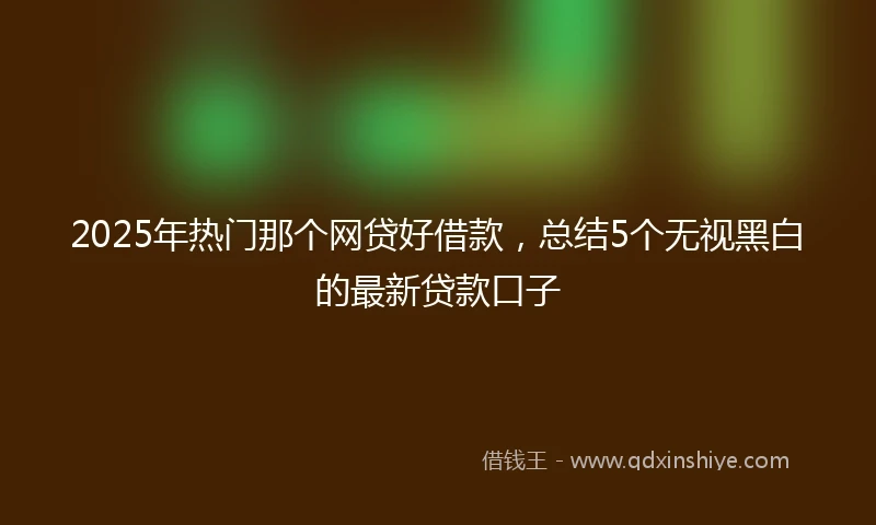 2025年热门那个网贷好借款，总结5个无视黑白的最新贷款口子