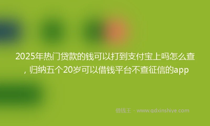 2025年热门贷款的钱可以打到支付宝上吗怎么查，归纳五个20岁可以借钱平台不查征信的app