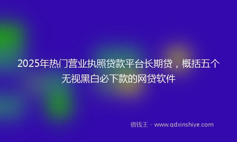 2025年热门营业执照贷款平台长期贷，概括五个无视黑白必下款的网贷软件