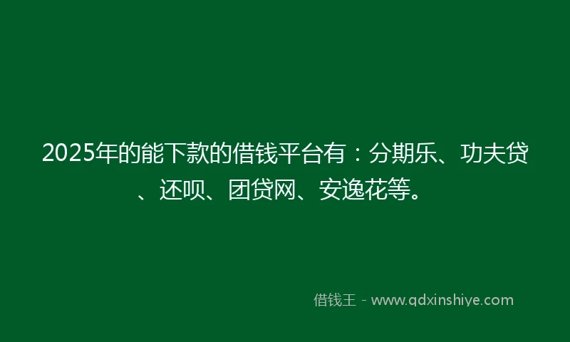 2025年的能下款的借钱平台有：分期乐、功夫贷、还呗、团贷网、安逸花等。