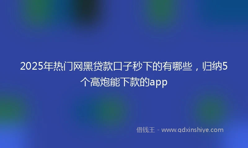 2025年热门网黑贷款口子秒下的有哪些，归纳5个高炮能下款的app