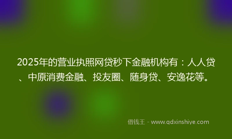 2025年的营业执照网贷秒下金融机构有：人人贷、中原消费金融、投友圈、随身贷、安逸花等。