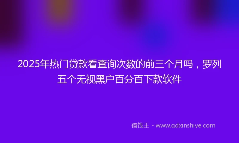 2025年热门贷款看查询次数的前三个月吗，罗列五个无视黑户百分百下款软件