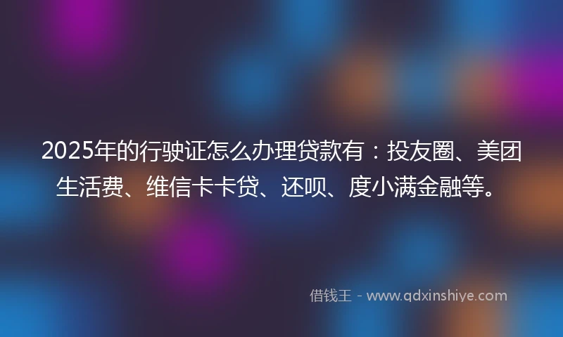 2025年的行驶证怎么办理贷款有：投友圈、美团生活费、维信卡卡贷、还呗、度小满金融等。