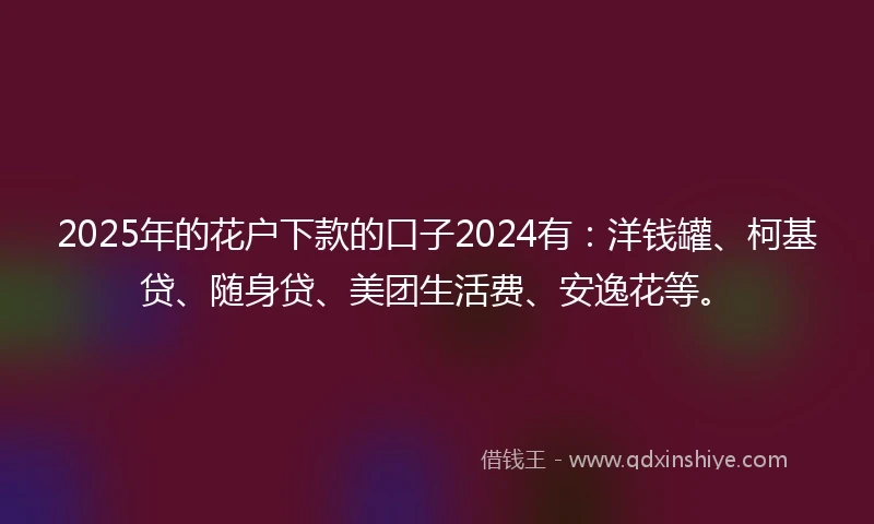 2025年的花户下款的口子2024有：洋钱罐、柯基贷、随身贷、美团生活费、安逸花等。