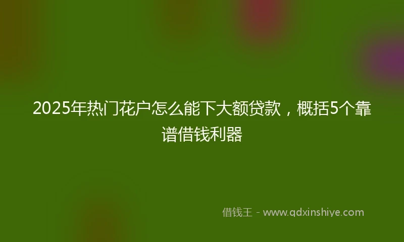 2025年热门花户怎么能下大额贷款，概括5个靠谱借钱利器