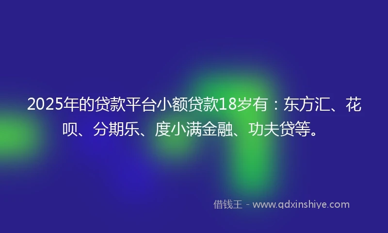 2025年的贷款平台小额贷款18岁有：东方汇、花呗、分期乐、度小满金融、功夫贷等。