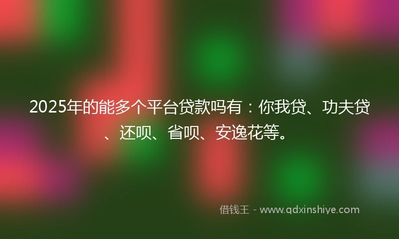 2025年的能多个平台贷款吗有：你我贷、功夫贷、还呗、省呗、安逸花等。