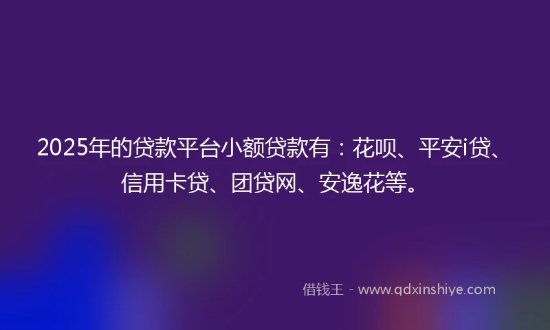 2025年的贷款平台小额贷款有：花呗、平安i贷、信用卡贷、团贷网、安逸花等。