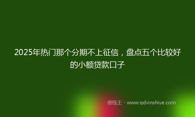 2025年热门那个分期不上征信，盘点五个比较好的小额贷款口子