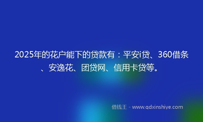 2025年的花户能下的贷款有：平安i贷、360借条、安逸花、团贷网、信用卡贷等。