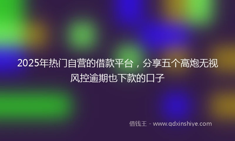 2025年热门自营的借款平台，分享五个高炮无视风控逾期也下款的口子