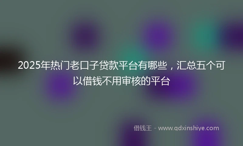 2025年热门老口子贷款平台有哪些，汇总五个可以借钱不用审核的平台