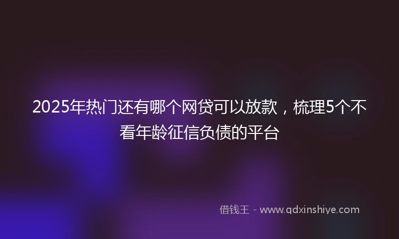 2025年热门还有哪个网贷可以放款，梳理5个不看年龄征信负债的平台