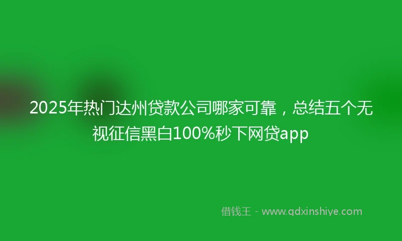 2025年热门达州贷款公司哪家可靠，总结五个无视征信黑白100%秒下网贷app