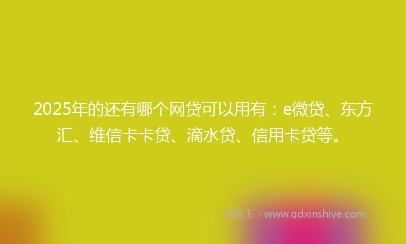 2025年的还有哪个网贷可以用有：e微贷、东方汇、维信卡卡贷、滴水贷、信用卡贷等。