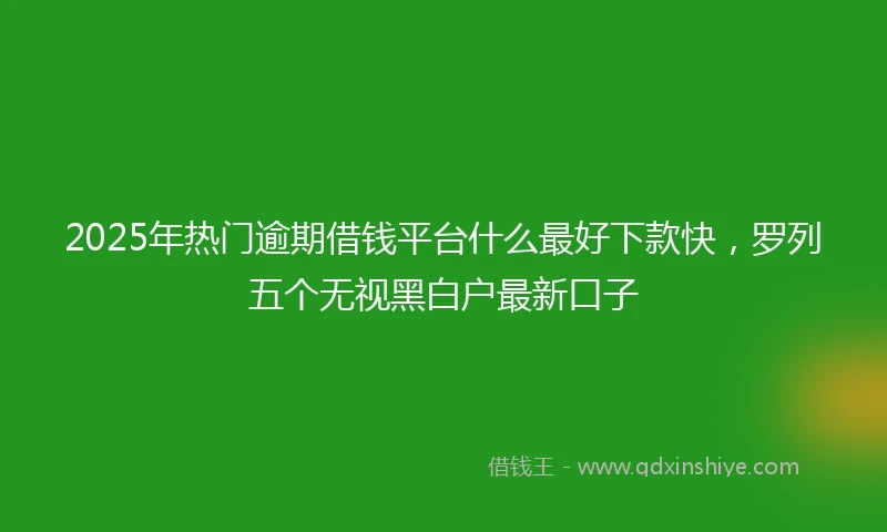 2025年热门逾期借钱平台什么最好下款快，罗列五个无视黑白户最新口子