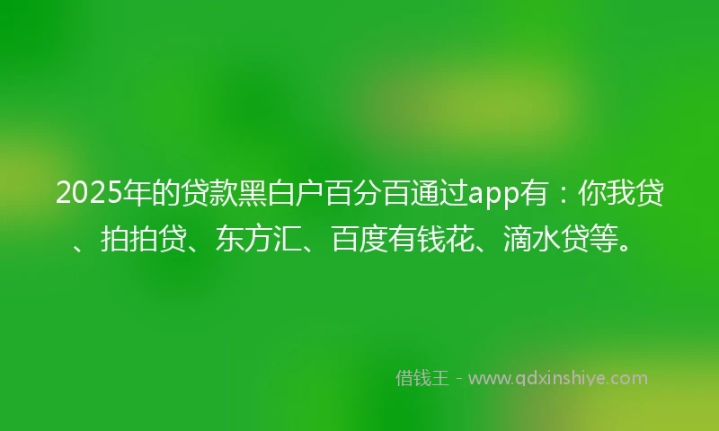 2025年的贷款黑白户百分百通过app有：你我贷、拍拍贷、东方汇、百度有钱花、滴水贷等。