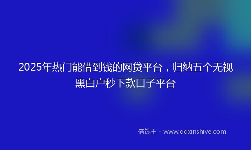 2025年热门能借到钱的网贷平台，归纳五个无视黑白户秒下款口子平台