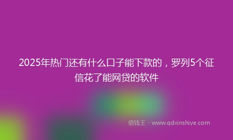 2025年热门还有什么口子能下款的，罗列5个征信花了能网贷的软件
