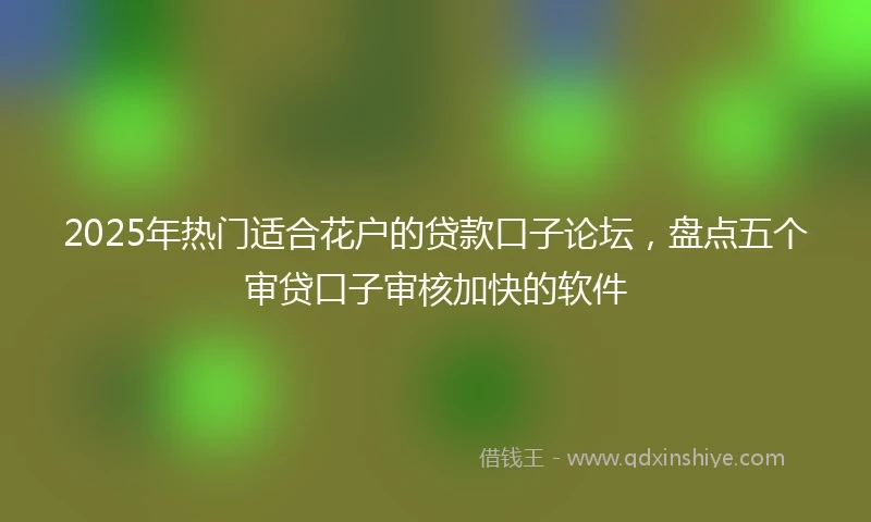 2025年热门适合花户的贷款口子论坛，盘点五个审贷口子审核加快的软件