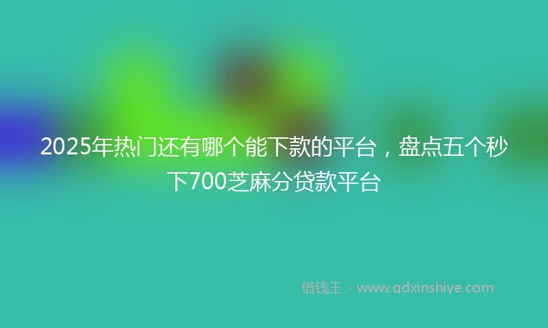 2025年热门还有哪个能下款的平台,盘点五个秒下700芝麻分贷款平台
