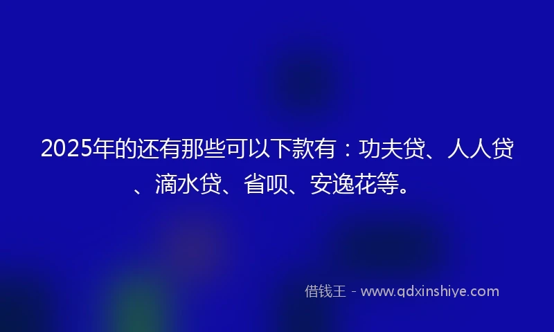 2025年的还有那些可以下款有：功夫贷、人人贷、滴水贷、省呗、安逸花等。