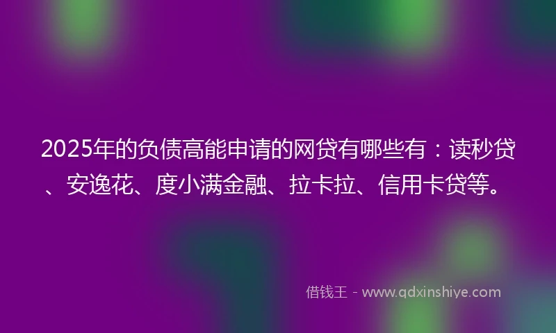 2025年的负债高能申请的网贷有哪些有：读秒贷、安逸花、度小满金融、拉卡拉、信用卡贷等。