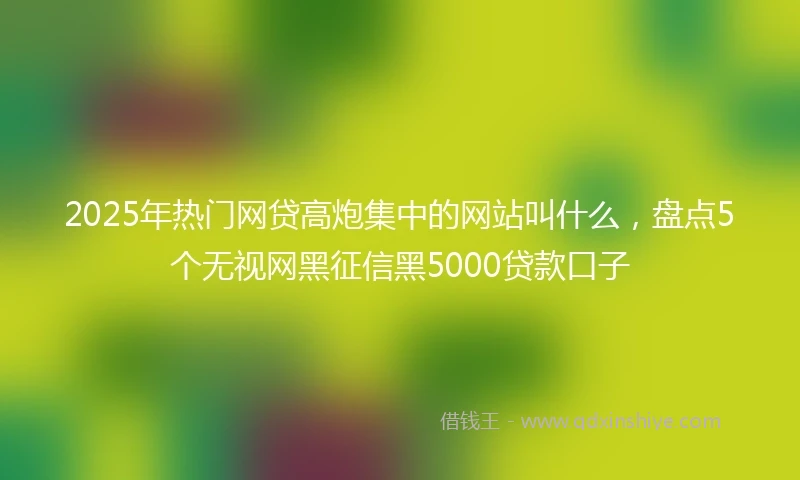 2025年热门网贷高炮集中的网站叫什么，盘点5个无视网黑征信黑5000贷款口子