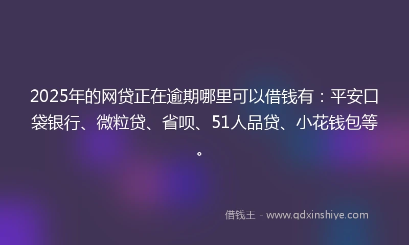 2025年的网贷正在逾期哪里可以借钱有：平安口袋银行、微粒贷、省呗、51人品贷、小花钱包等。