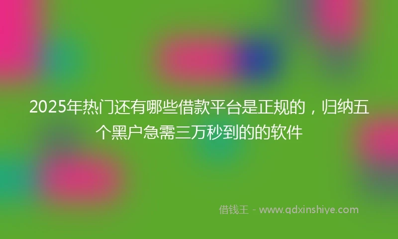 2025年热门还有哪些借款平台是正规的，归纳五个黑户急需三万秒到的的软件