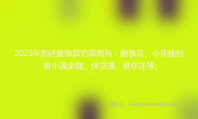 2025年的还能放款的高炮有：融逸花、小花钱包、度小满金融、快贷通、替你还等。