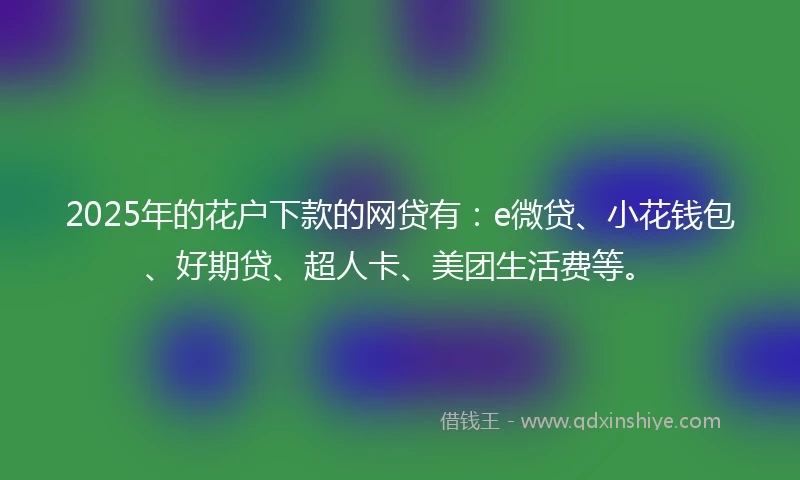 2025年的花户下款的网贷有：e微贷、小花钱包、好期贷、超人卡、美团生活费等。