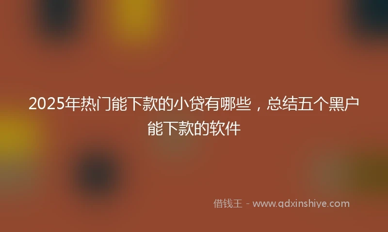 2025年热门能下款的小贷有哪些，总结五个黑户能下款的软件