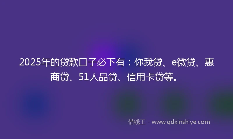 2025年的贷款口子必下有：你我贷、e微贷、惠商贷、51人品贷、信用卡贷等。