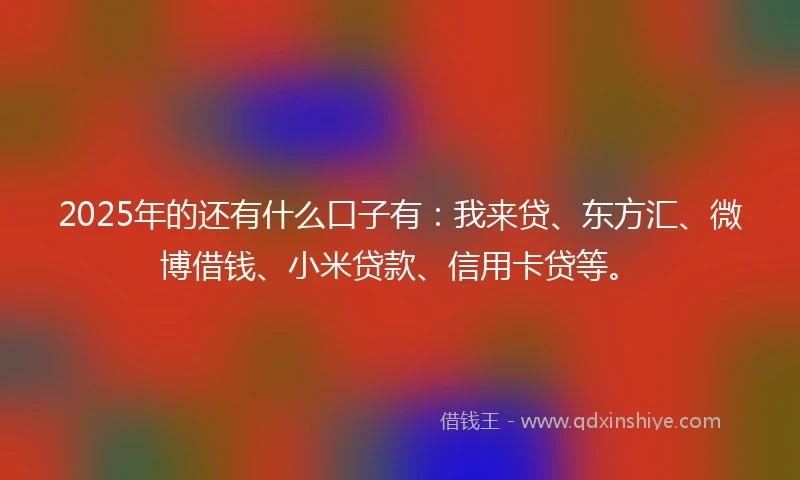 2025年的还有什么口子有：我来贷、东方汇、微博借钱、小米贷款、信用卡贷等。