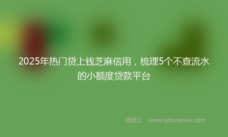 2025年热门贷上钱芝麻信用，梳理5个不查流水的小额度贷款平台