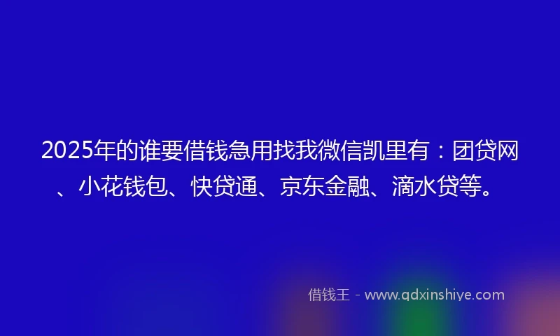 2025年的谁要借钱急用找我微信凯里有：团贷网、小花钱包、快贷通、京东金融、滴水贷等。