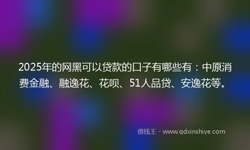 2025年的网黑可以贷款的口子有哪些有：中原消费金融、融逸花、花呗、51人品贷、安逸花等。