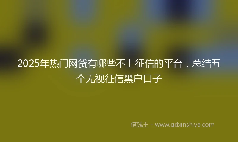 2025年热门网贷有哪些不上征信的平台，总结五个无视征信黑户口子