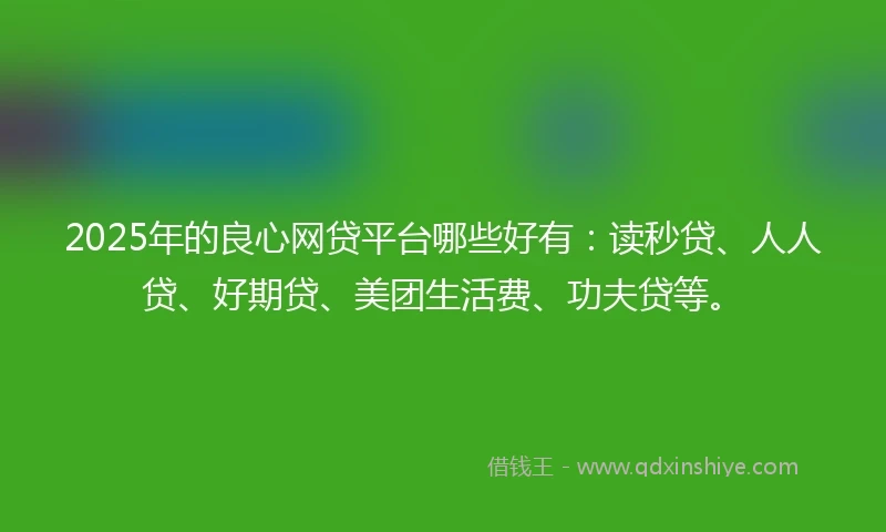2025年的良心网贷平台哪些好有：读秒贷、人人贷、好期贷、美团生活费、功夫贷等。