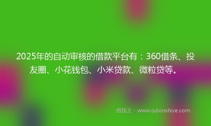 2025年的自动审核的借款平台有：360借条、投友圈、小花钱包、小米贷款、微粒贷等。