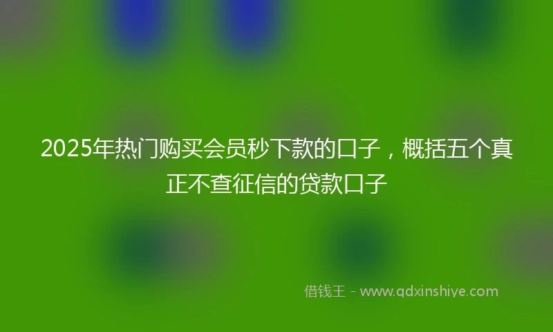 2025年热门购买会员秒下款的口子，概括五个真正不查征信的贷款口子