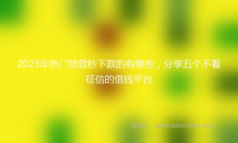 2025年热门贷款秒下款的有哪些，分享五个不看征信的借钱平台