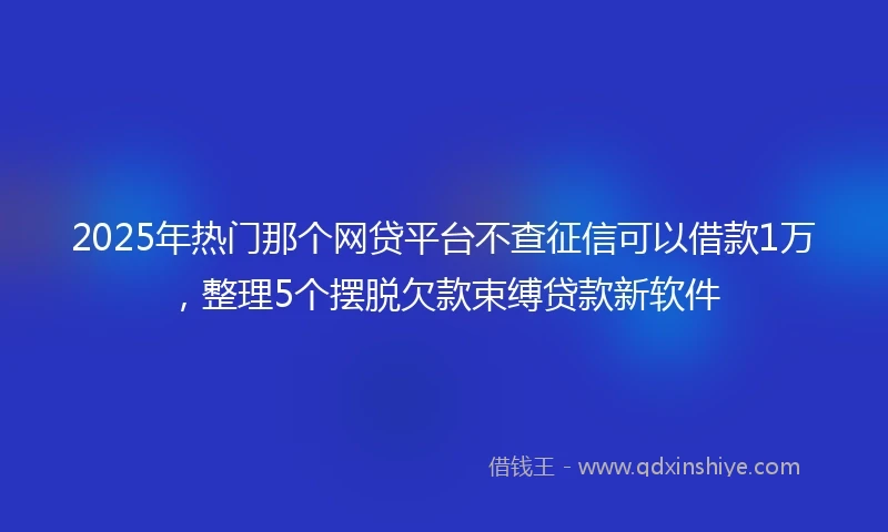 2025年热门那个网贷平台不查征信可以借款1万，整理5个摆脱欠款束缚贷款新软件
