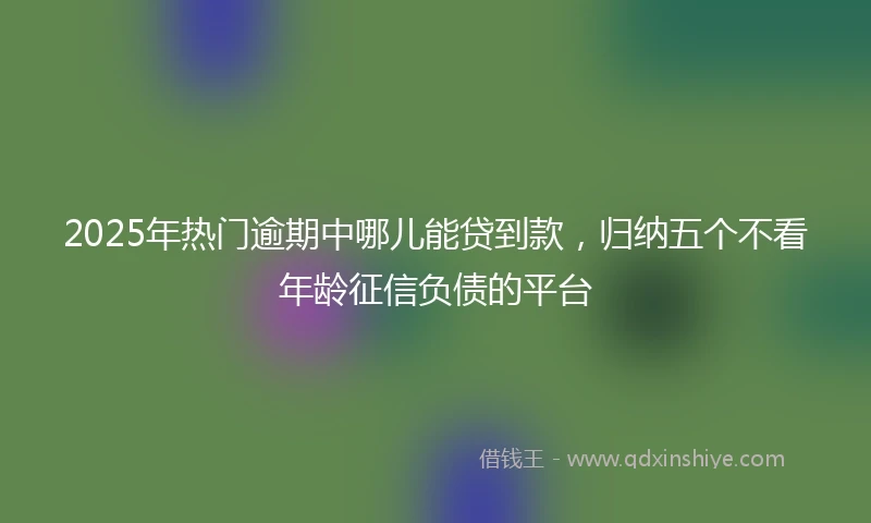 2025年热门逾期中哪儿能贷到款，归纳五个不看年龄征信负债的平台