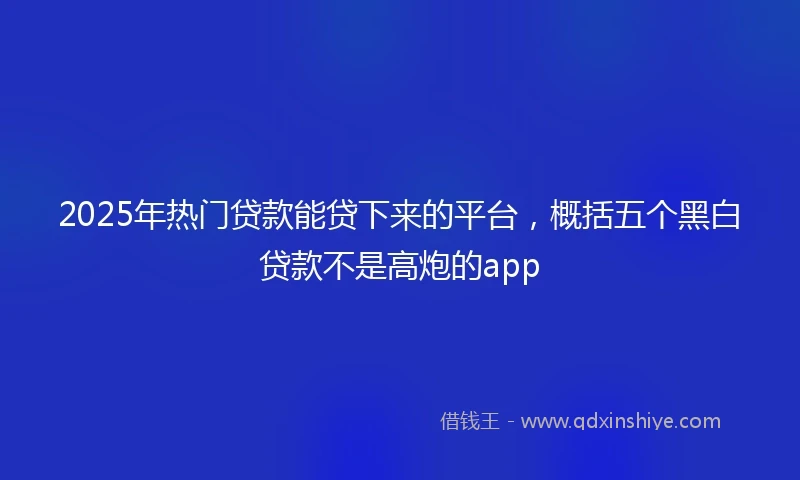 2025年热门贷款能贷下来的平台，概括五个黑白贷款不是高炮的app