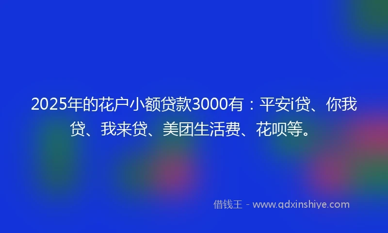 2025年的花户小额贷款3000有：平安i贷、你我贷、我来贷、美团生活费、花呗等。
