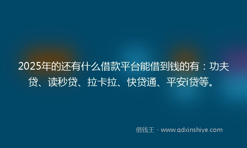 2025年的还有什么借款平台能借到钱的有：功夫贷、读秒贷、拉卡拉、快贷通、平安i贷等。